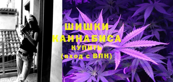 трава Магас